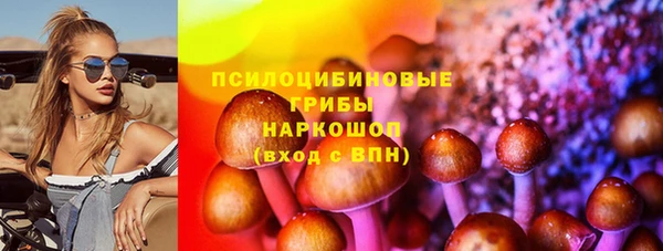 мдпв Абаза